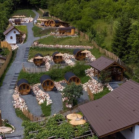 Complex Butoaiele Transilvaniei - Cazare & Spa - Natura - Relaxare Mediaş Eksteriør billede