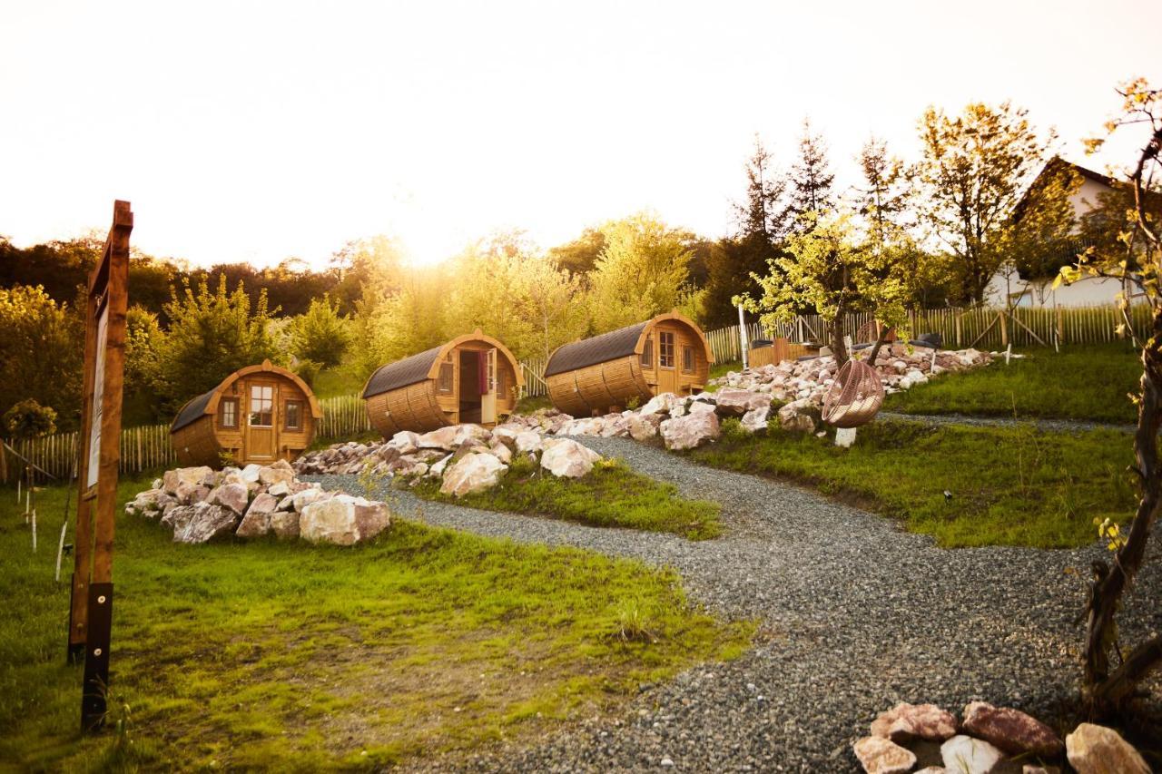 Complex Butoaiele Transilvaniei - Cazare & Spa - Natura - Relaxare Mediaş Eksteriør billede