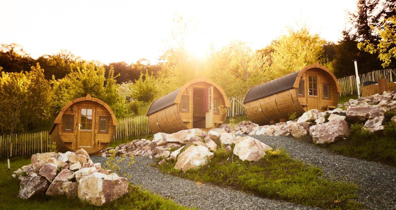 Complex Butoaiele Transilvaniei - Cazare & Spa - Natura - Relaxare Mediaş Eksteriør billede