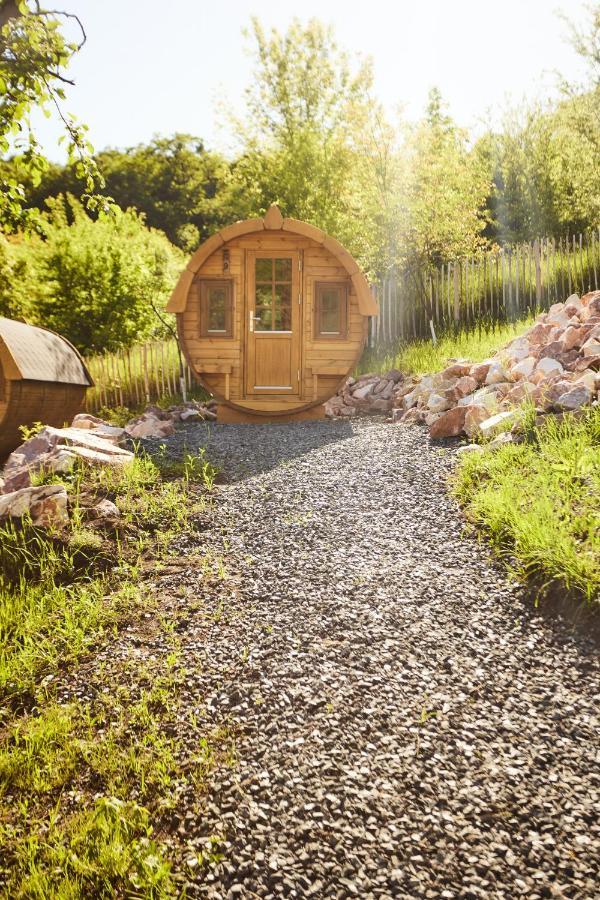 Complex Butoaiele Transilvaniei - Cazare & Spa - Natura - Relaxare Mediaş Eksteriør billede