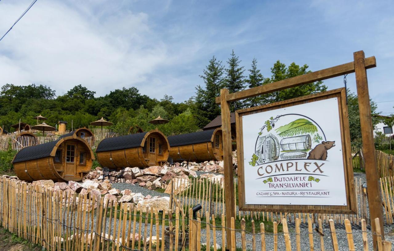 Complex Butoaiele Transilvaniei - Cazare & Spa - Natura - Relaxare Mediaş Eksteriør billede