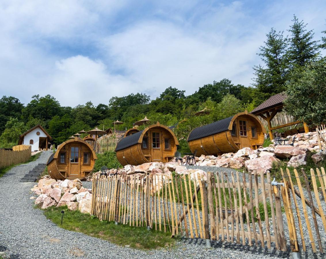 Complex Butoaiele Transilvaniei - Cazare & Spa - Natura - Relaxare Mediaş Eksteriør billede
